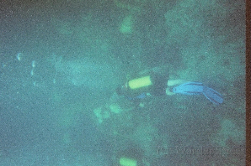 Taylor Scuba Diving 08.jpg